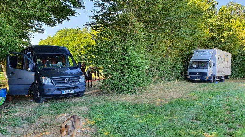 Pause für Mensch und Tier im Schatten der Bäume