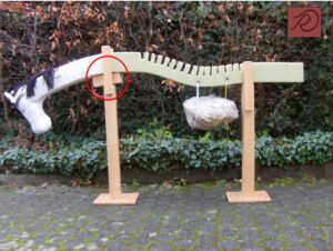Pferdemodell mit angehobenem Rumpf/Widerrist