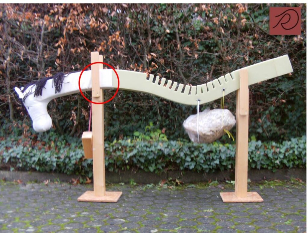 Pferdemodell mit tiefliegendem Widerrist