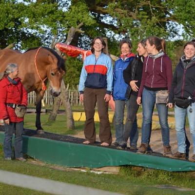 Seminare mit Pferd und Clicker