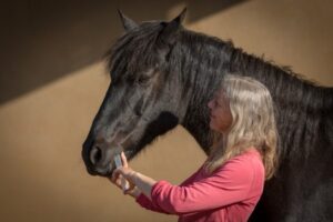 Wurmkur leicht gemacht